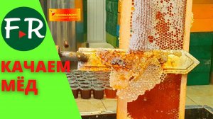 Распечатка сотовых рамок и откачка мёда в медогонке. Пасека Зайнуллиных, Татарстан
