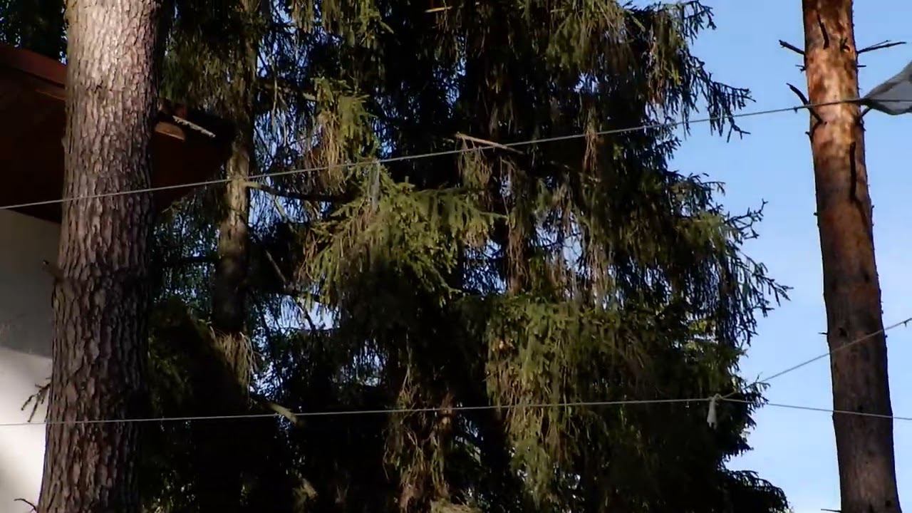 Музыка барокко смотреть онлайн