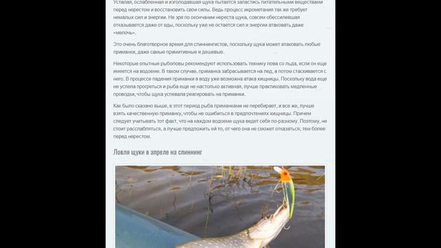 Рыбалка в теории. КОГДА ВЕСНОЙ НАЧИНАЕТ КЛЕВАТЬ ЩУКА смотреть онлайн