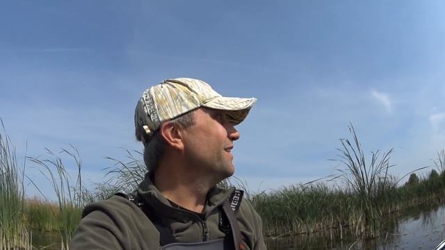 Охота на уток - Осенняя кряква смотреть онлайн