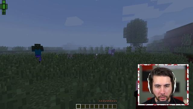 Minecraft, But It Gets More Realistic Every Minute смотреть онлайн