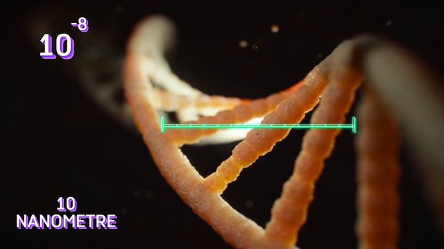 Büyükten Küçüğe-From Universe To Atom #atom #quantum #science #educational #universe смотреть онлайн