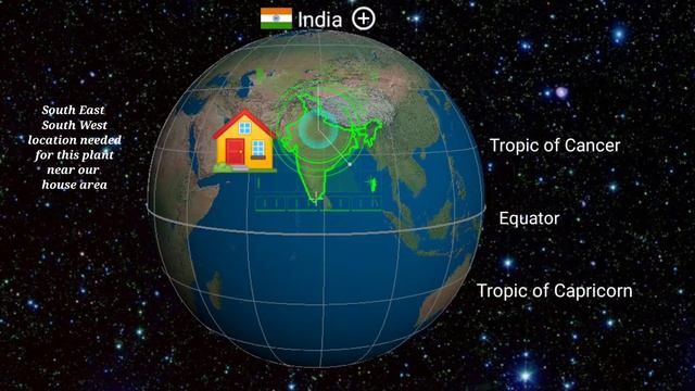 Four 'O Clock 🕓 Plant| Mirabilis Jalapa| 4:00 बजे की फुल| कुदरत की प्राकृतिक घड़ी | @ Endless Natur смотреть онлайн