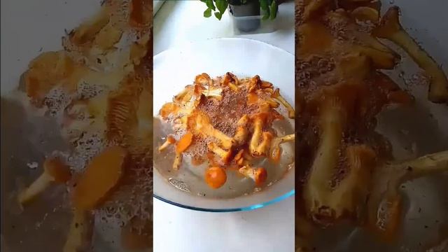 КАК ОТМЫТЬ ЛИСИЧКИ ОТ ПЕСКА смотреть онлайн