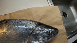 ЧАВЫЧА!! ОТКРЫЛ СЕЗОН НА КОРОЛЕВСКИЙ ЛОСОСЬ! РЫБАЛКА В США! РЕЦЕПТ ПРИГОТОВЛЕНИЯ.