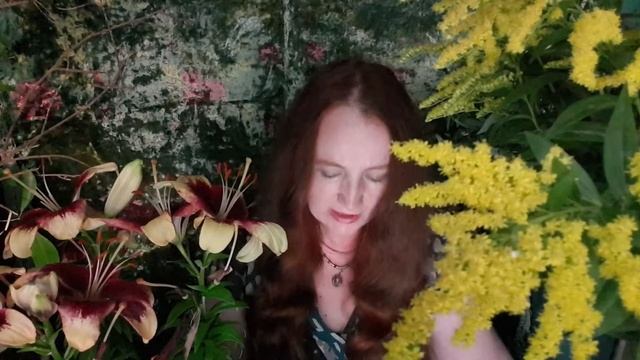 Птичка смотреть онлайн