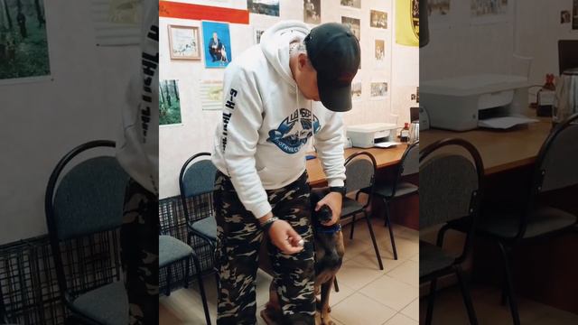 Новый запах с первого раза? смотреть онлайн