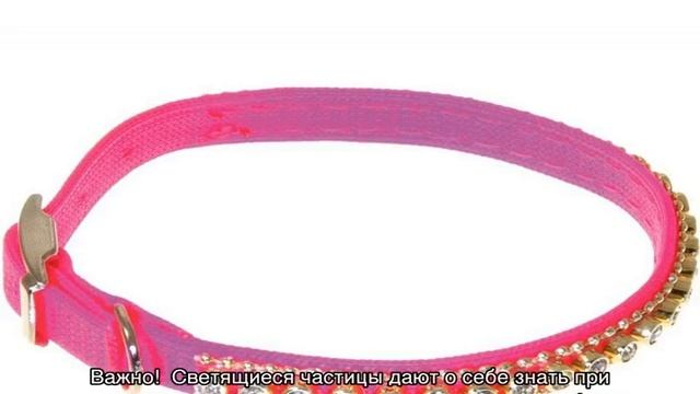 Ошейник для кошек: с адресником, красивые смотреть онлайн