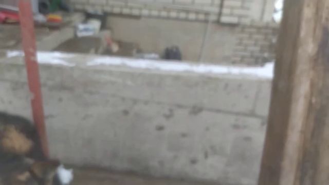 фундамент под кирпичный столб навеса смотреть онлайн