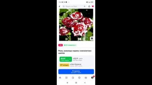 🛒Пробная закупка саженца розы с Озон.