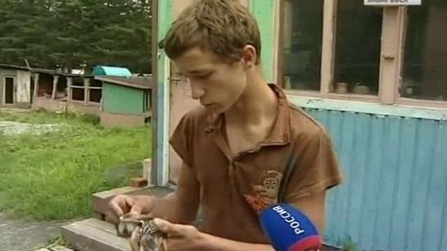 Птенец на Фурманова смотреть онлайн