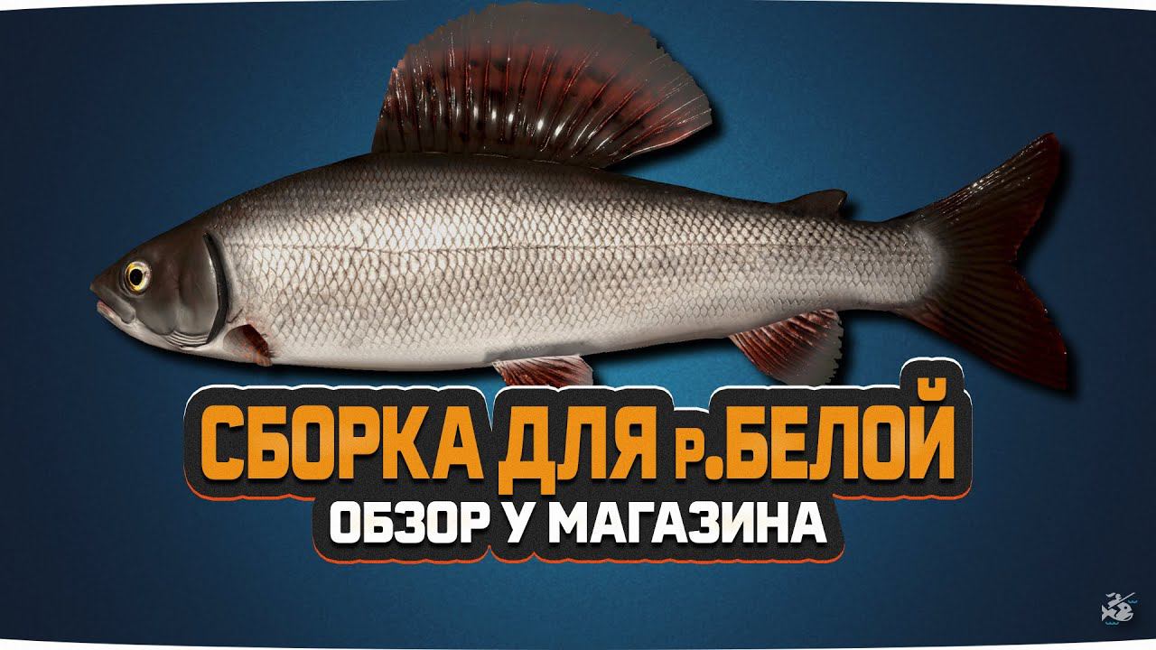 Обзор у магазина #1 • Сборка для рыбалки на реке Белой • Driler - Русская Рыбалка 4
