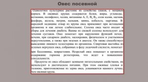 Отвар из овса для очищения и укрепления организма