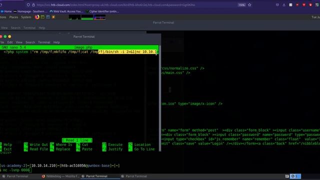 HTB Getting Started on "Nibbles" смотреть онлайн