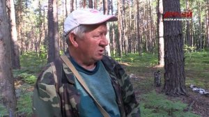 Натаска гончих собак. Собака на охоте.