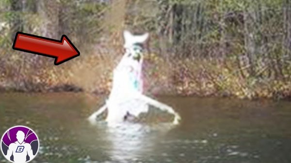 4 САМЫХ СТРАШНЫХ ВИДЕО ПОПРОБУЙТЕ ДОСМОТРЕТЬ ИХ ДО КОНЦА  .mp4