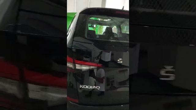 SKODA KODIAQ смотреть онлайн