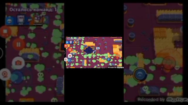 на весах 00:00