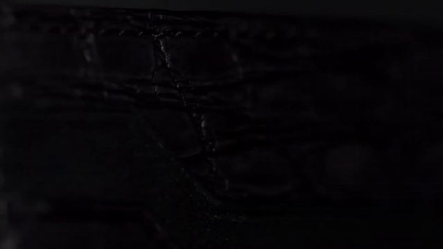 FISHER & WOORDES - ALLIGATOR CARDHOLDER BLACK SILVER смотреть онлайн