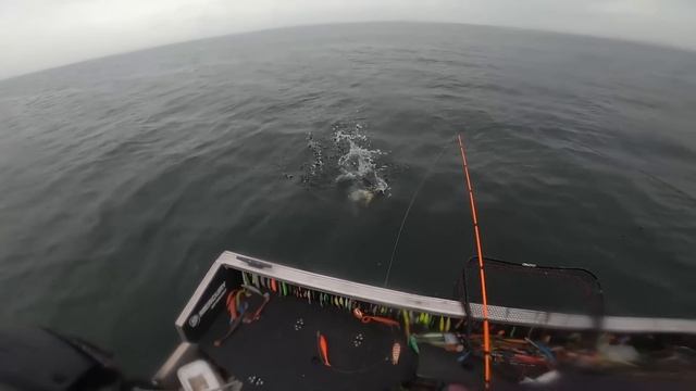 Турнир Монстры Нарочи Рыбалка на Щуку с Крупным Силиконом Осенью смотреть онлайн