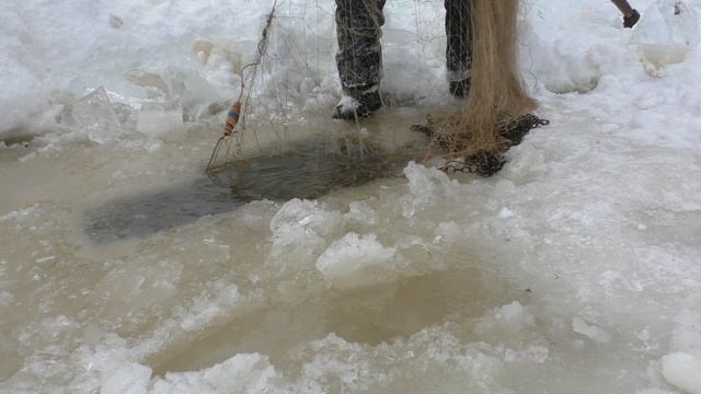 Зимняя рыбалка/Подлёдный лов сетями/ Налим... смотреть онлайн