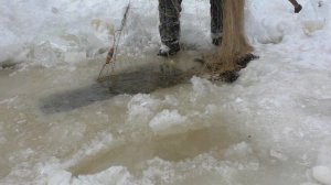 Зимняя рыбалка/Подлёдный лов сетями/ Налим...