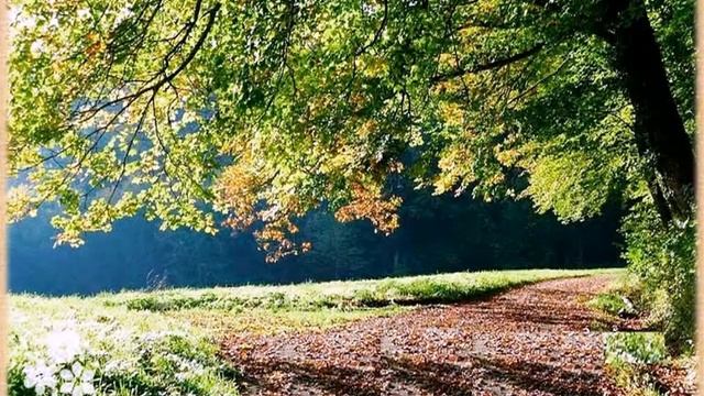 Сергей Есенин смотреть онлайн