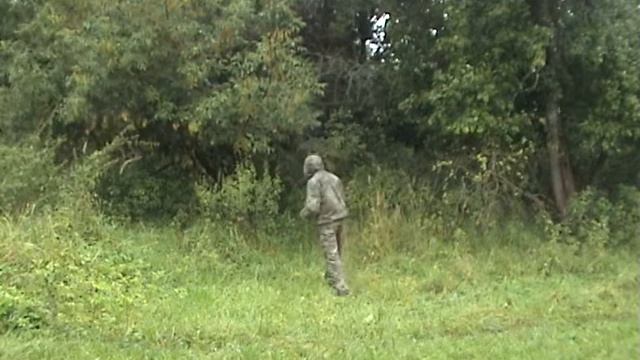 Kryptek (Криптек) MANDRAKE, Taygerr (Тайгер), обзор на костюм 