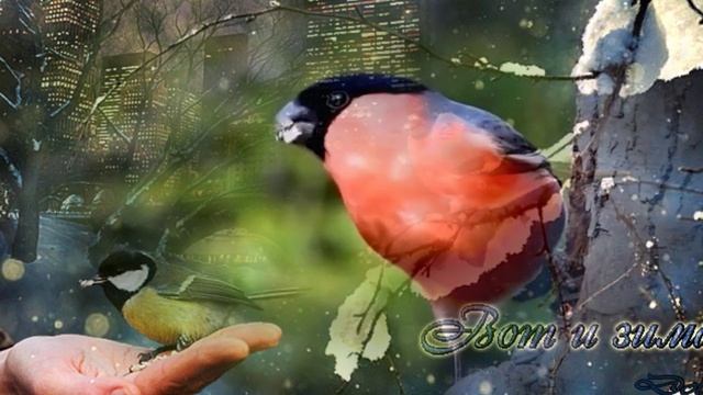 КАК КРАСИВЫ СНЕГИРИ-стихи Юрия Фенько,музыка и вокал Александра Захарова,монтаж Валентины Зубковой.m