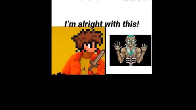 TERRARIA MEMES BEFORE 1.4 смотреть онлайн