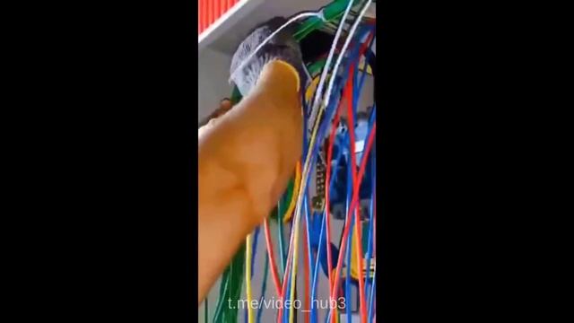 17 минут смеха попробуй не засмеяться / тест на психику / смешные видео 2023 смотреть онлайн