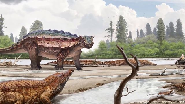 Warm Blood Crocodiles? The Endothermic Ancestry of Crocodilians. Part 1: The Evidence смотреть онлайн