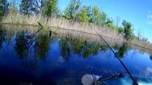 Ловля рыбы весной, секреты ловли.
