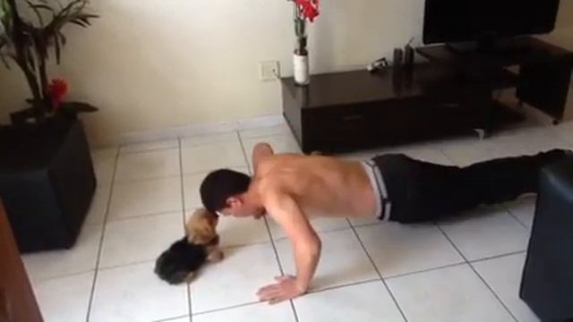 Copa de flexões scarpelly- Victor Santos смотреть онлайн