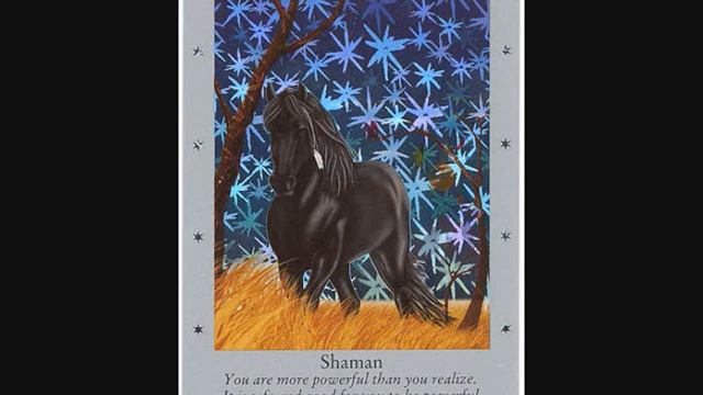 Bella Sara Series 1 cards смотреть онлайн