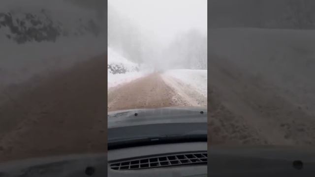 Опасность в горах Крыма! #крым #ялта #крымонлайн #отдых смотреть онлайн