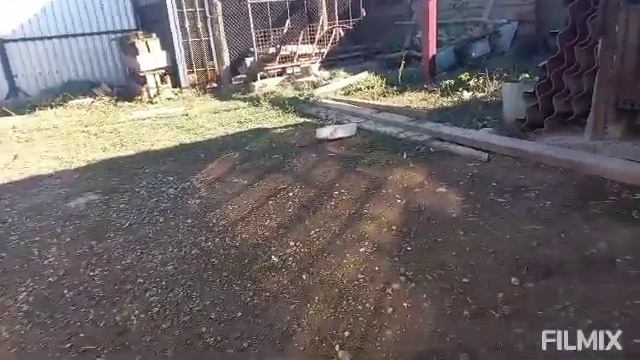 🖐Всем привет коллеги, и зрители не большой обзорчик 🕊🤝 смотреть онлайн
