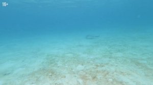 РАЙ НА ЗЕМЛЕ — Riu Palace Maldivas | Мальдивы