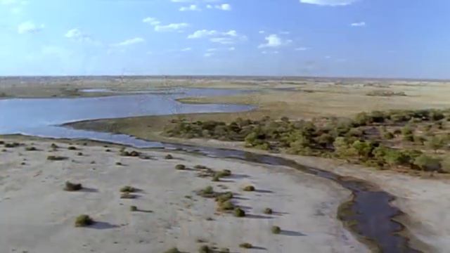 Elephants Empire 🐘- Matriarch Elephant | Elephant Documentary | Natural History Channel