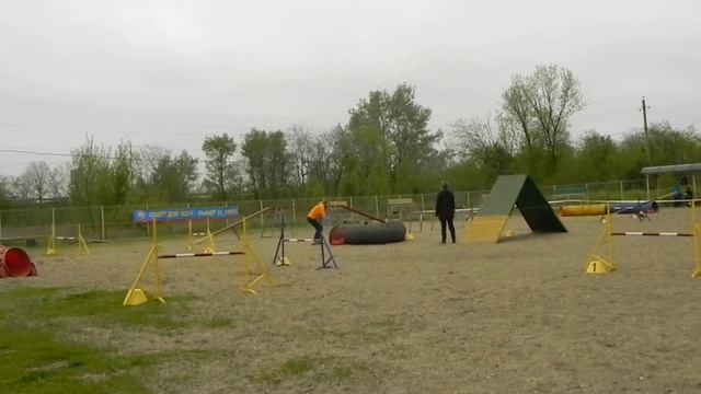 Даша и Регги А1 смотреть онлайн