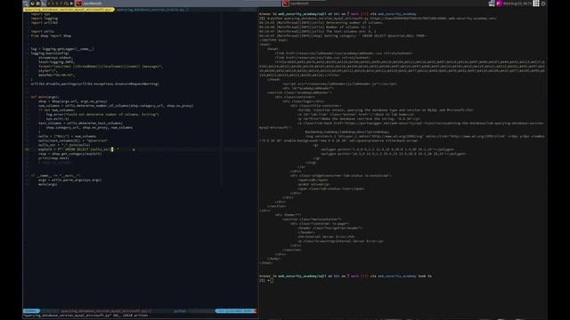 Web Security Academy | SQLi | 8 - Querying Database Version MySQL Microsoft смотреть онлайн