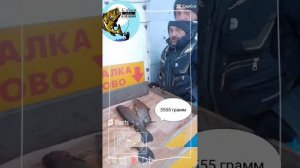 Клёвая рыбалка в Лёдово