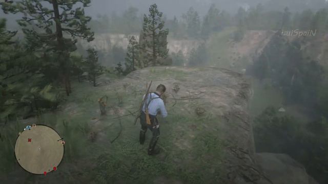 GINSENG AMERICANO Red dead redemption 2 localización смотреть онлайн