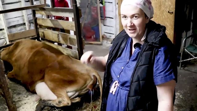 С ТАКИМ ОТЁЛОМ У КОРОВЫ САМА ЧУТЬ НЕ РОДИЛА!