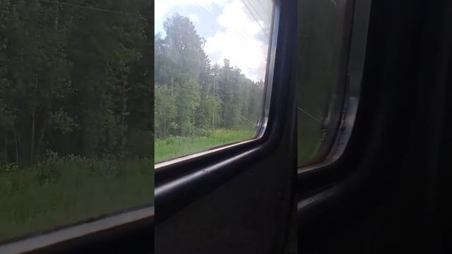 Российская электричка: поездка из Реутова в Балашиху.