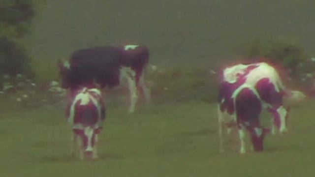 Canon legria hf r706, digital / optical zoom test смотреть онлайн