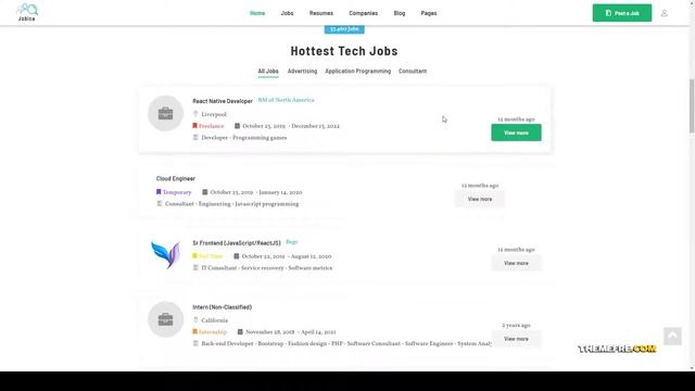Jobica - Elementor IT Job Board WordPress Theme job portal listing Easy Create Website смотреть онлайн