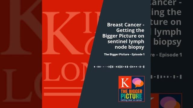 The Bigger Picture: Getting Clear on Breast Cancer and Sentinel Lymph Node Biopsy смотреть онлайн