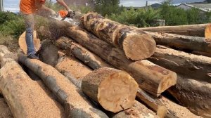 Stihl MS 500i Cutting Firewood