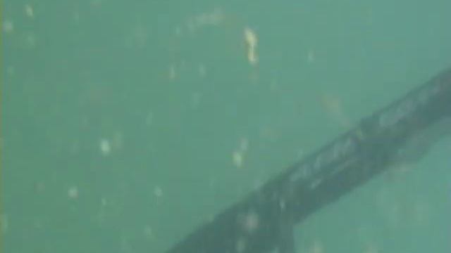 Федоровское Водохранилище. смотреть онлайн